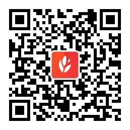 hth体育官网入口